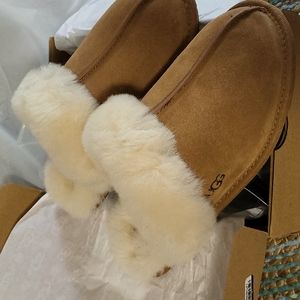 New Ugg Scuffette Slippers